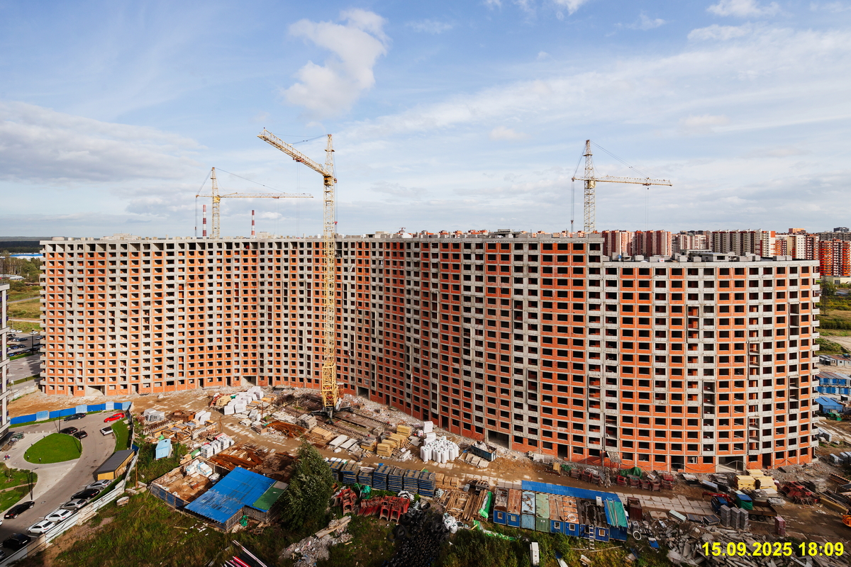 15 сентября 2025