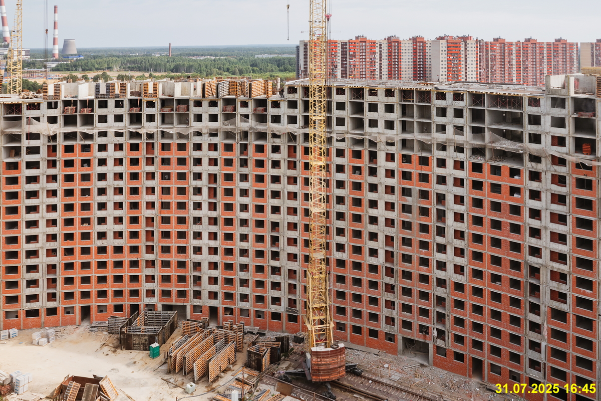 31 июля 2025 31 июля 2025
