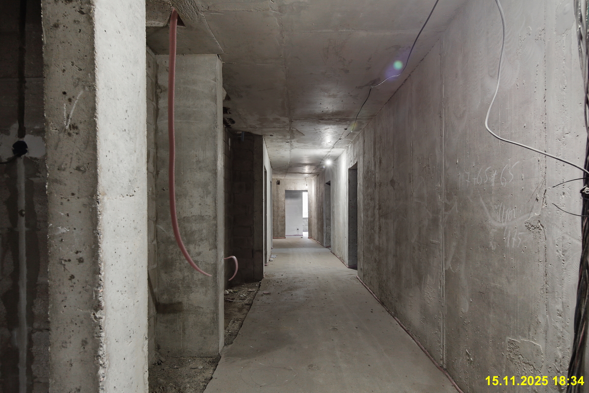 15 ноября 2025