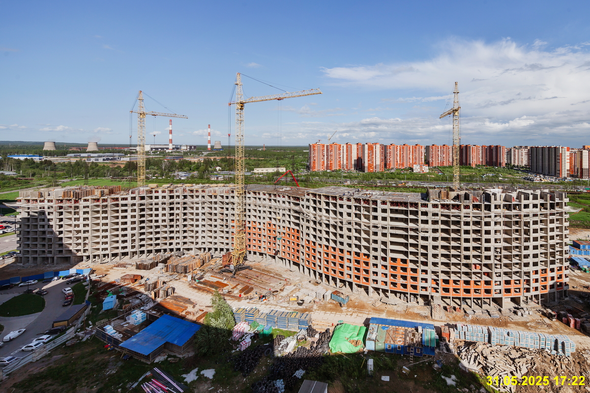 31 мая 2025 31 мая 2025
