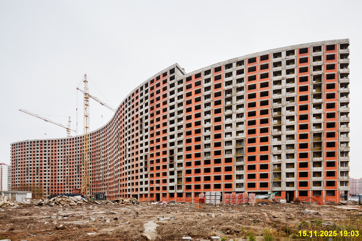 15 ноября 2025