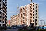31 августа 2025 31 августа 2025
