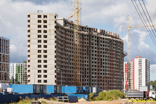 15 августа 2025