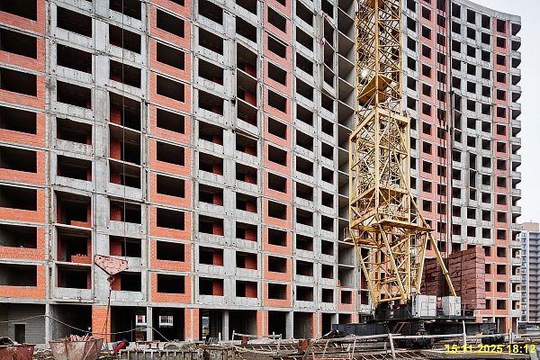 15 ноября 2025