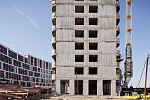 31 мая 2025 31 мая 2025